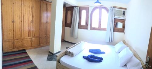 Katil atau katil-katil dalam bilik di Dahab Home bed&breakfast