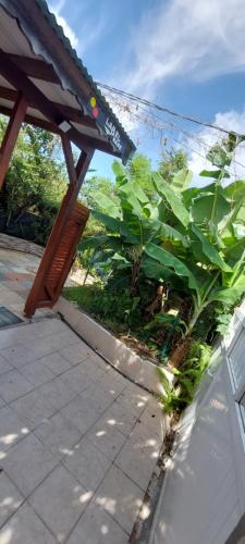 a patio with a wooden table and some plants at Label kafé in Bouillante