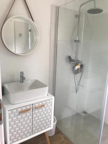 La salle de bains est pourvue d'un lavabo et d'une douche avec un miroir. dans l'établissement Gite au coeur du pays Cathare, à Verzeille