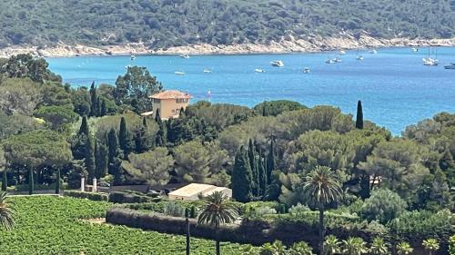 Gigaro View Sylvabelle