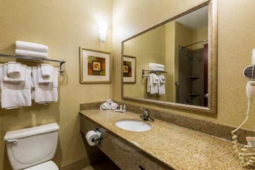 Koupelna v ubytování Comfort Suites