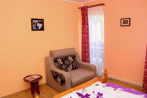 uma sala de estar com uma cadeira e uma cama em Apartament Iulia em Geoagiu Băi