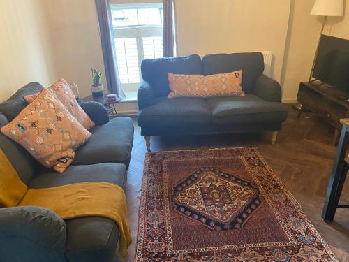 sala de estar con sofá azul y alfombra en Carpenters Rest, Wighton Near Wells Next The Sea, en Wighton