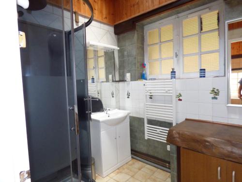 a bathroom with a sink and a shower in it at Domaine de Pratulo in Cléden-Poher