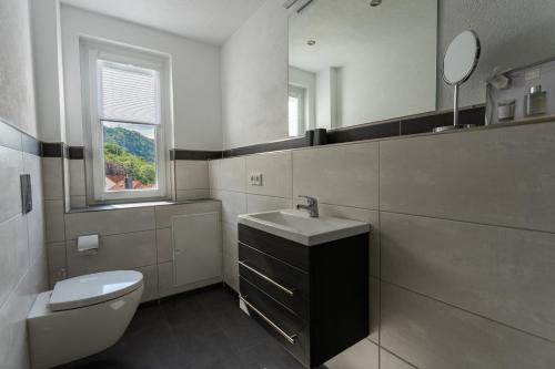 een badkamer met een toilet, een wastafel en een spiegel bij Ferienwohnung am Steinbach 2 in Thale