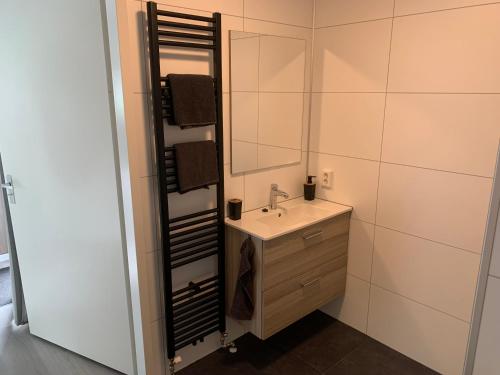 bagno con lavandino e specchio di Chalet Moderna Putten a Putten