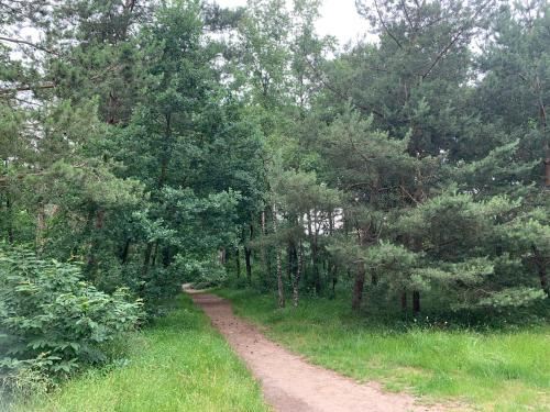 a dirt road in the middle of a forest at Chalet Moderna Putten in Putten