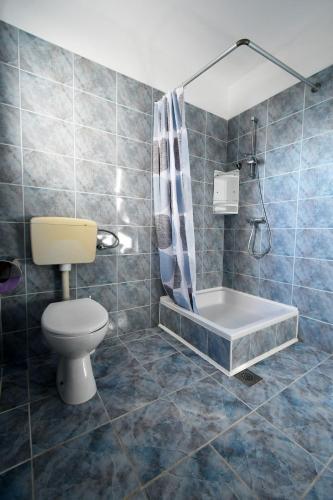a bathroom with a toilet and a shower at Apartman Krstaš- Gonar in Supetarska Draga