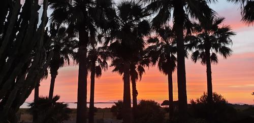 a group of palm trees in front of a sunset at Kite Hostel Stagnone in Marsala