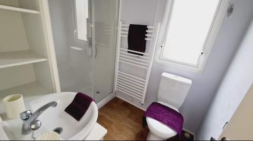 a white bathroom with a toilet and a sink at Tunstall view Caravan Holidays at Sand le Mere in Tunstall