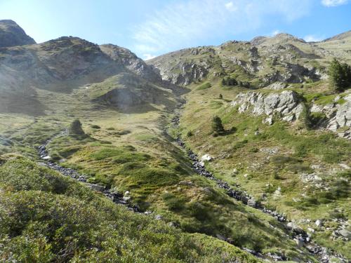 a herd of animals walking down a mountain valley at Apartaments Turístics Prat de Les Mines in Ordino