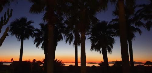a group of palm trees in front of a sunset at Kite Hostel Stagnone in Marsala