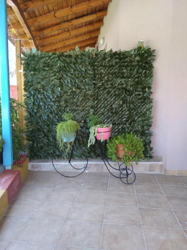 a bench in front of a green wall with plants at Valta's Room 3 in Paleros