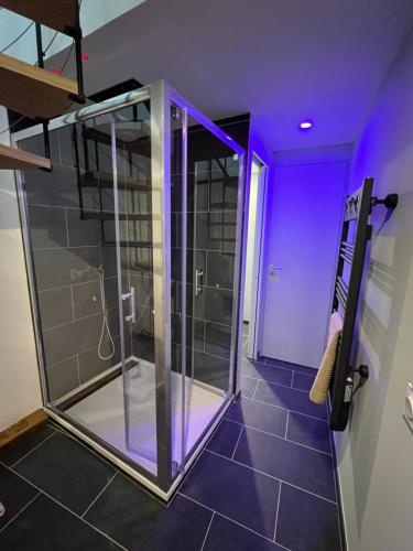 耶尔Petite maison cosy et moderne avec bain à remous的浴室设有玻璃淋浴间,拥有紫色的灯光
