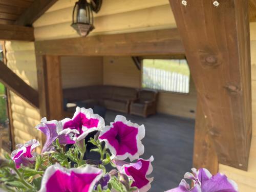 Foto dalla galleria di Cabana Todireni Vatra Dornei a Vatra Dornei