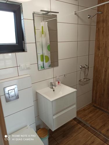 a bathroom with a white sink and a mirror at Domki-Apartamenty Hals in Władysławowo