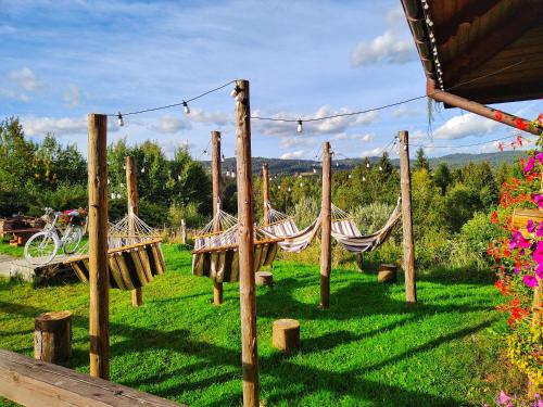 a group of hammocks in a field of grass at Czarna Owca in Istebna