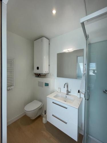 a bathroom with a toilet and a sink and a shower at Cοcοοn in Dinan