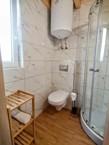 a bathroom with a toilet and a shower at Brzozowa Polana in Perlino
