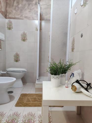 a bathroom with a toilet and a sink and a shower at Le DueLamie in Sessa Cilento