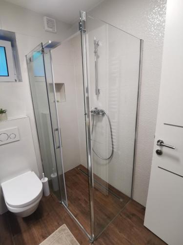 a bathroom with a shower and a toilet at Central park Ribnjak in Zagreb