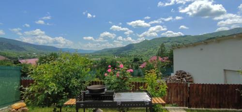 a patio with a table and a view of mountains at Oscar Residence in Nehoiu