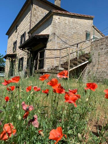 a field of red flowers in front of a building at Casa di Monica in Torre San Severo