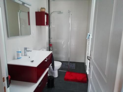 une salle de bain avec une douche, un lavabo et des toilettes dans l'établissement au coeur des coteaux du Layon, à Le Champ-sur-Layon