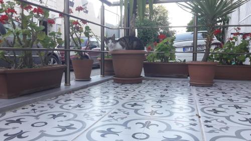 Φωτογραφία από το άλμπουμ του Yasin Apart hotel στην Κωνσταντινούπολη