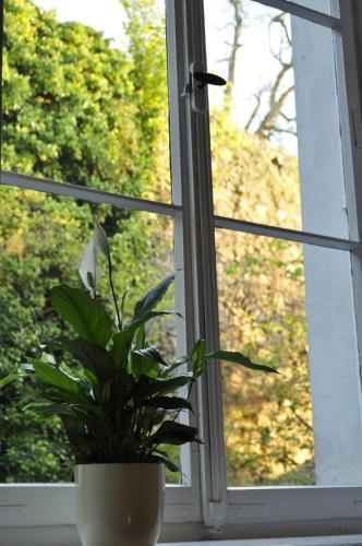 a potted plant sitting on a window sill at Art Hotel & Hostel in Passau