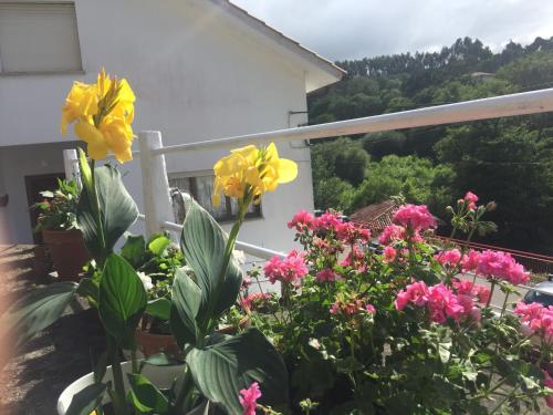 Giardino di Pensión El Pozo