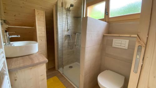 Een badkamer bij Chalet Chalvet Begat