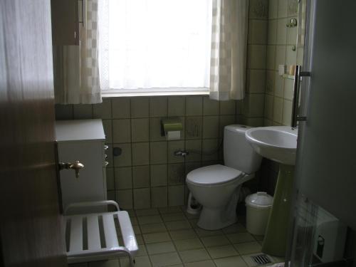 a small bathroom with a toilet and a sink at Ferienwohnung am Deister mit großem Balkon in Springe