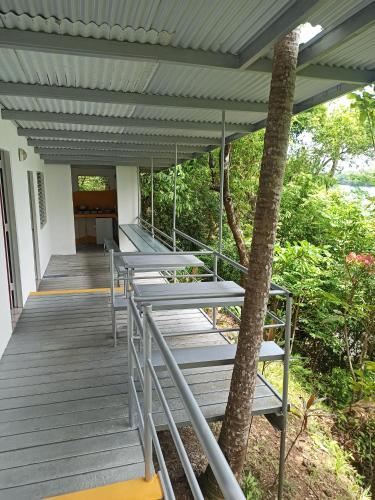 a deck with chairs and a tree at Boca Brava Lodge in Boca Chica