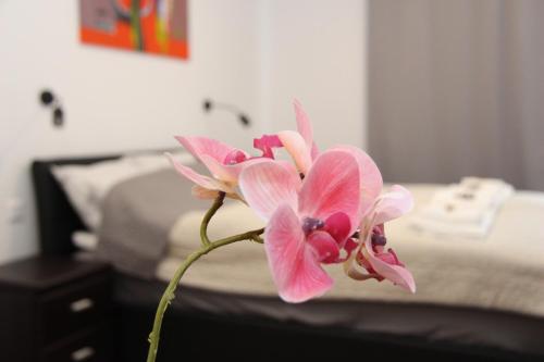 APARTMÁN K2 Zuberec