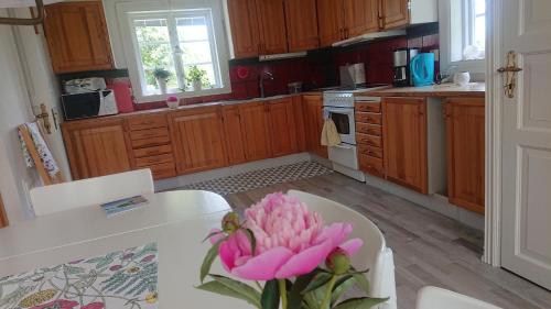 a pink flower sitting on a table in a kitchen at Året runt i väldigt härlig natur Bo på lantgård in Rimforsa