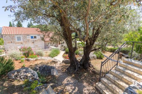 Galería fotográfica de Olive Garden en Ston