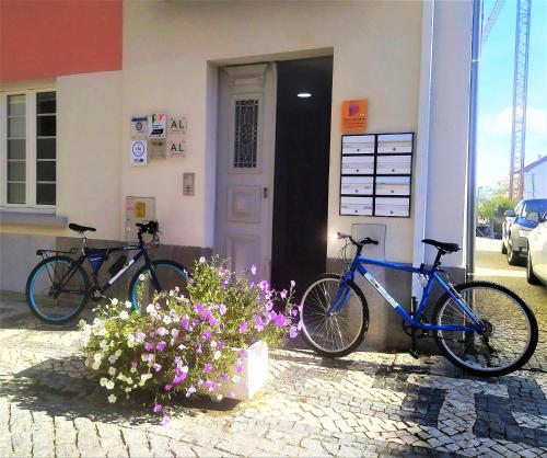two bikes parked outside of a building with flowers at Gardunha Apartments Avenida I in Fundão