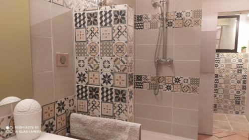 a bathroom with a shower with tiles on the wall at Chambres d'hôtes indépendantes au rez-de-chaussée d'une maison provençale dont une avec cour intérieure in Tarascon