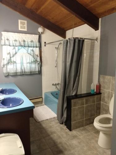 a bathroom with a shower and a sink and a toilet at Mountain Retreat in Wilmington