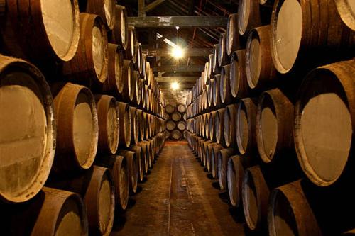 a row of wooden barrels in a wine cellar at SOFT ROOMS in Vila Real