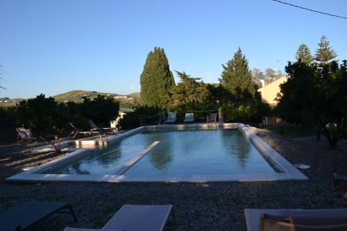 a swimming pool in the middle of a yard at Villa La Cucullera in Catanzaro
