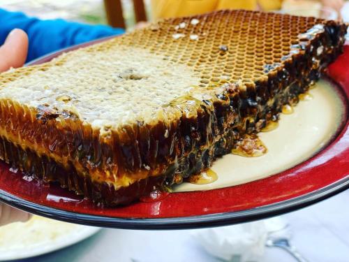 a chocolate cake with a honey comb on top at Guest house Hyrmet Demushi in Valbonë