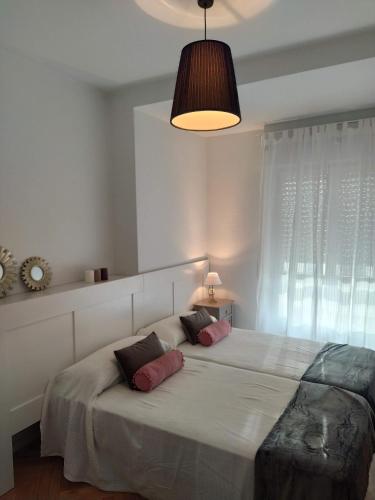 1 dormitorio con 1 cama grande y 2 almohadas en Bonito piso en el centro de Ourense, en Ourense