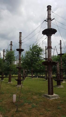 a group of wooden utility poles in a field at Lelita in Bela Crkva
