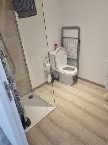 a bathroom with a toilet and a shower stall at Appartement séjour , cure Cransac au 1er étage 2 nuits minimum in Cransac
