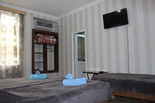 TV a/nebo společenská místnost v ubytování Guest house Maspindzeli