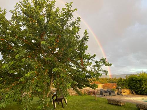 a rainbow in the sky with a tree in a yard at casa rural de un artista en plena naturaleza piscina y parque de esculturas en villarcayo in Villarcayo