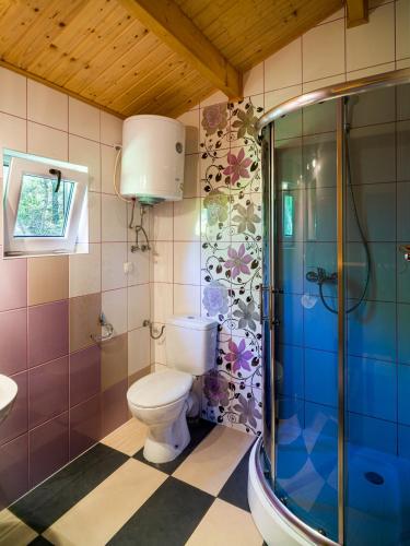 a bathroom with a toilet and a shower at Leśny Dworek in Darłowo