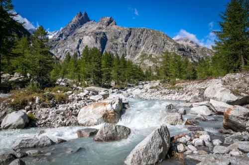 a river with rocks and a mountain in the background at Hotel Lo Scoiattolo in Courmayeur